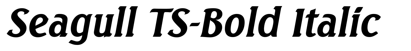 Seagull TS-Bold Italic